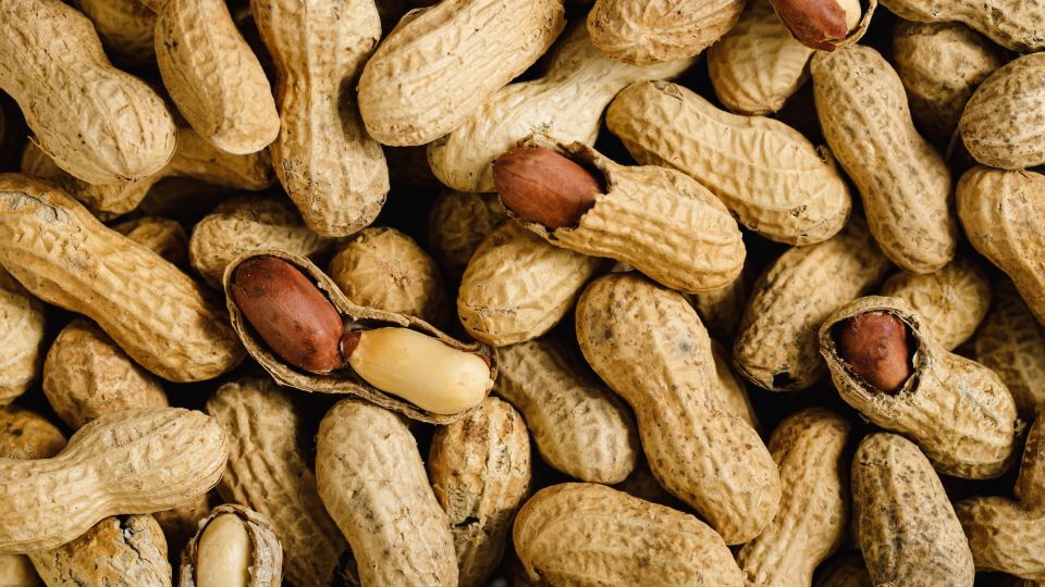 Australia Launches World-First National Peanut Allergy Treatment Program for Children