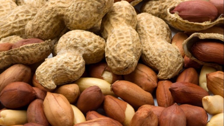 Australia Launches World-First National Peanut Allergy Treatment Program for Children