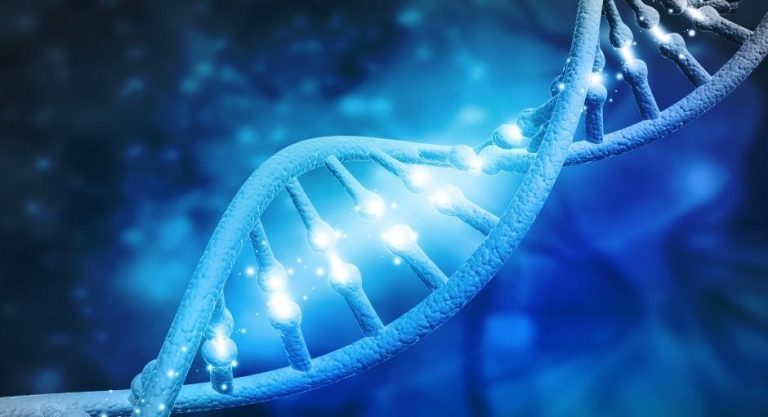 Parkinson's Study Finds 13% Genetic Link, Surpasses Enrollment Goal