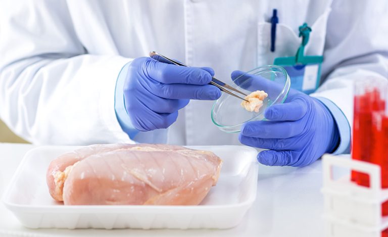 Study Highlights Growing Antimicrobial Resistance in Salmonella from Chicken Meat