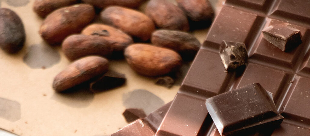 Study Reveals Dangerous Levels of Heavy Metals in U.S. Cocoa Products, Especially in Organic Varieties