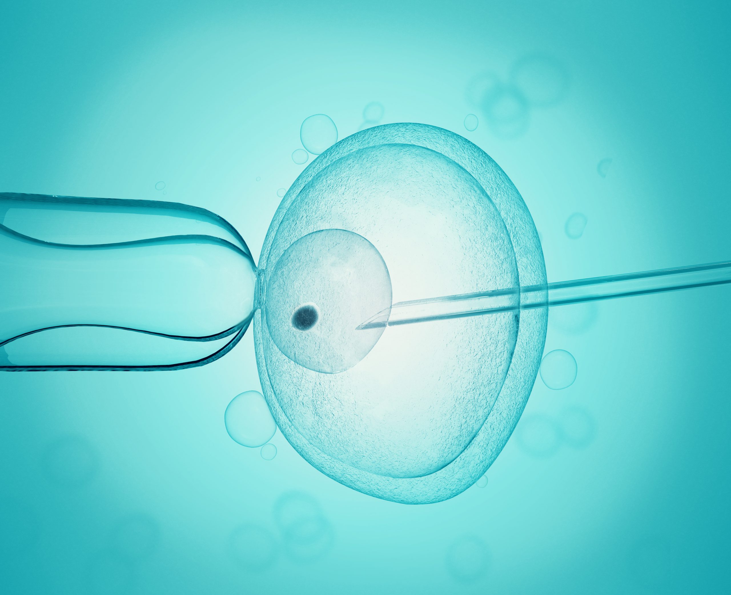 Study Shows Time-Lapse Imaging Does Not Improve IVF Outcomes