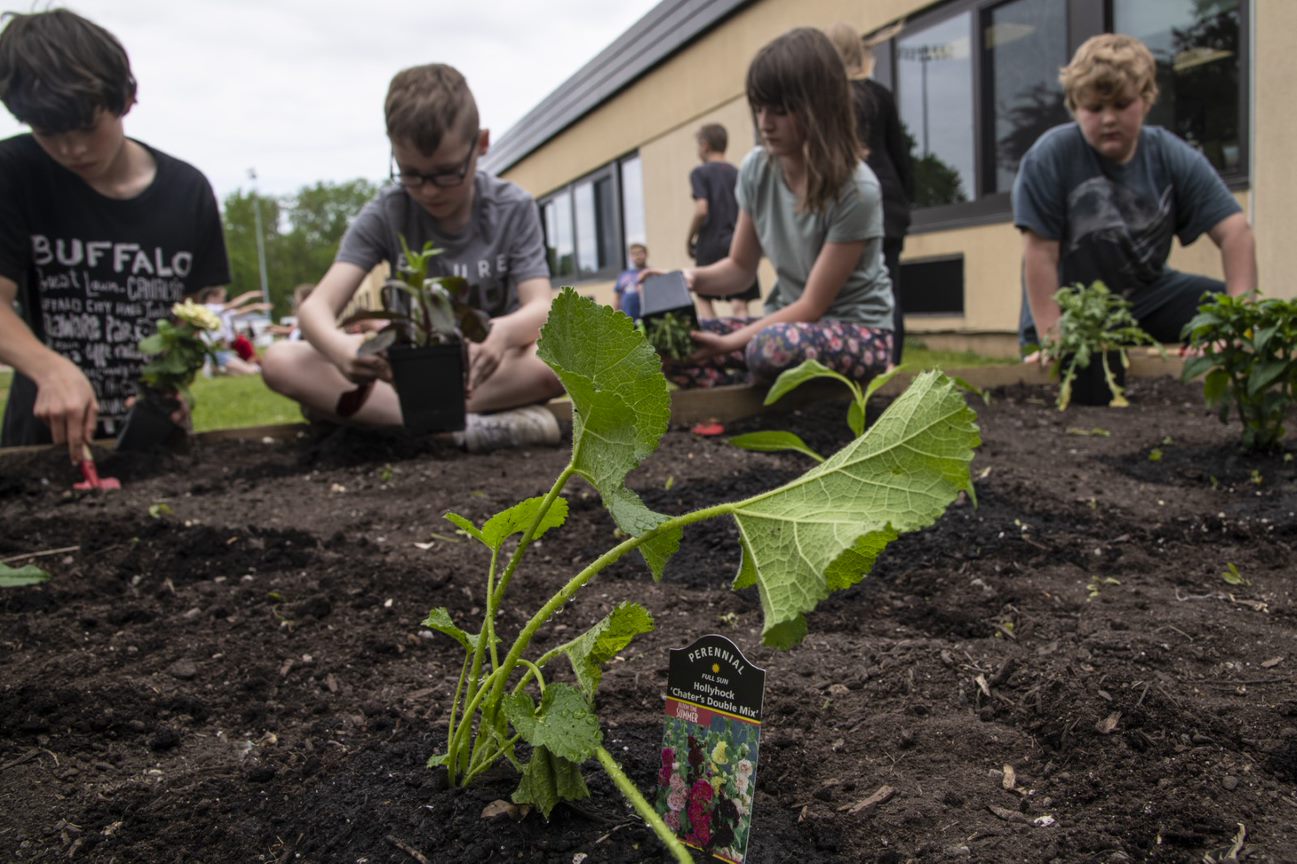 USDA Awards $14.3 Million in Farm to School Grants, Enhancing Child Nutrition Nationwide