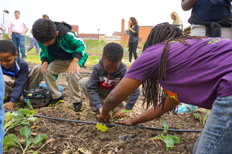 USDA Awards $14.3 Million in Farm to School Grants, Enhancing Child Nutrition Nationwide