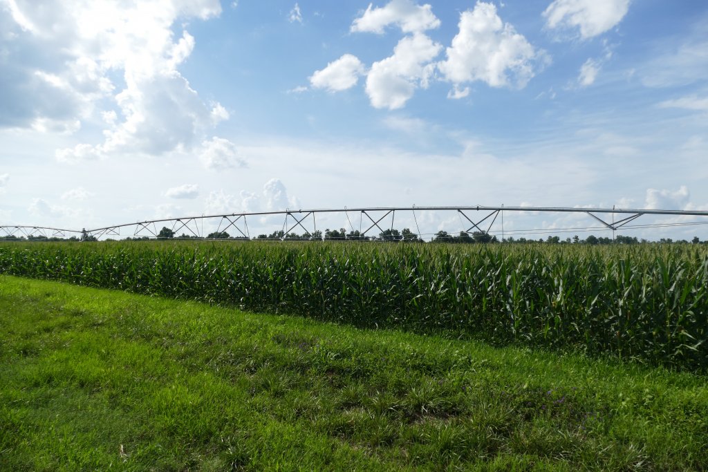 USDA Invests $90 Million in Conservation Grants to Boost Climate-Smart Agriculture