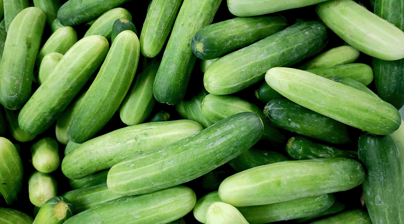 Wiers Farm Inc. Recalls Cucumbers Due to Listeria Contamination, Urging Caution Among Vulnerable Populations