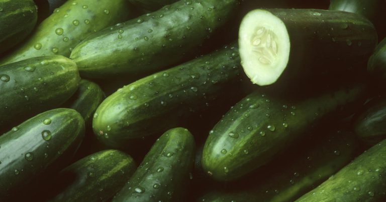 Wiers Farm Inc. Recalls Cucumbers Due to Listeria Contamination, Urging Caution Among Vulnerable Populations