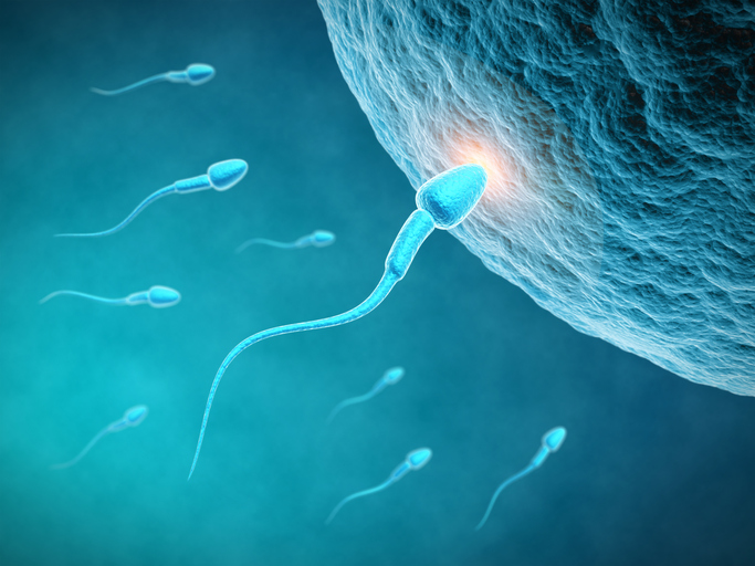 Posterity Health Enhances Male Fertility Care with Digital Solutions from Yosi Health