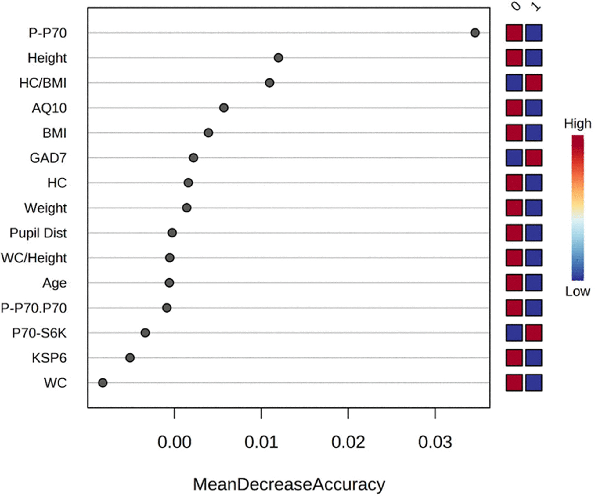 Study Links mTORC1 Activity to Physical Traits and Neuropsychiatric Disorders, Potentially Guiding Medication Responses