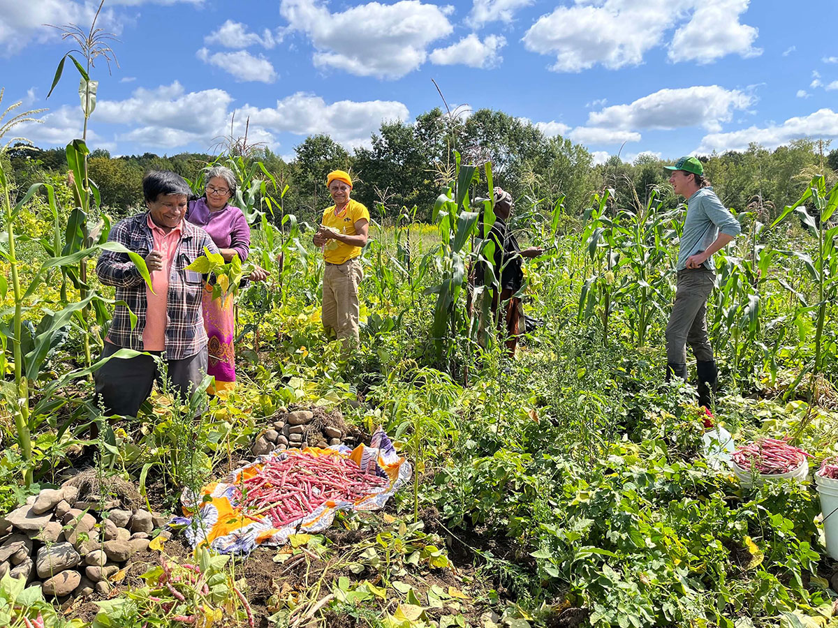 USDA's New Advisory Committee to Empower Emerging Farmers and Ranchers with 20 Fresh Appointments