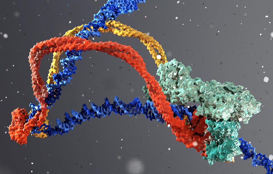 Study Shows Cannabis Use Alters Epigenetic Markers, Highlighting Possible Health Impacts