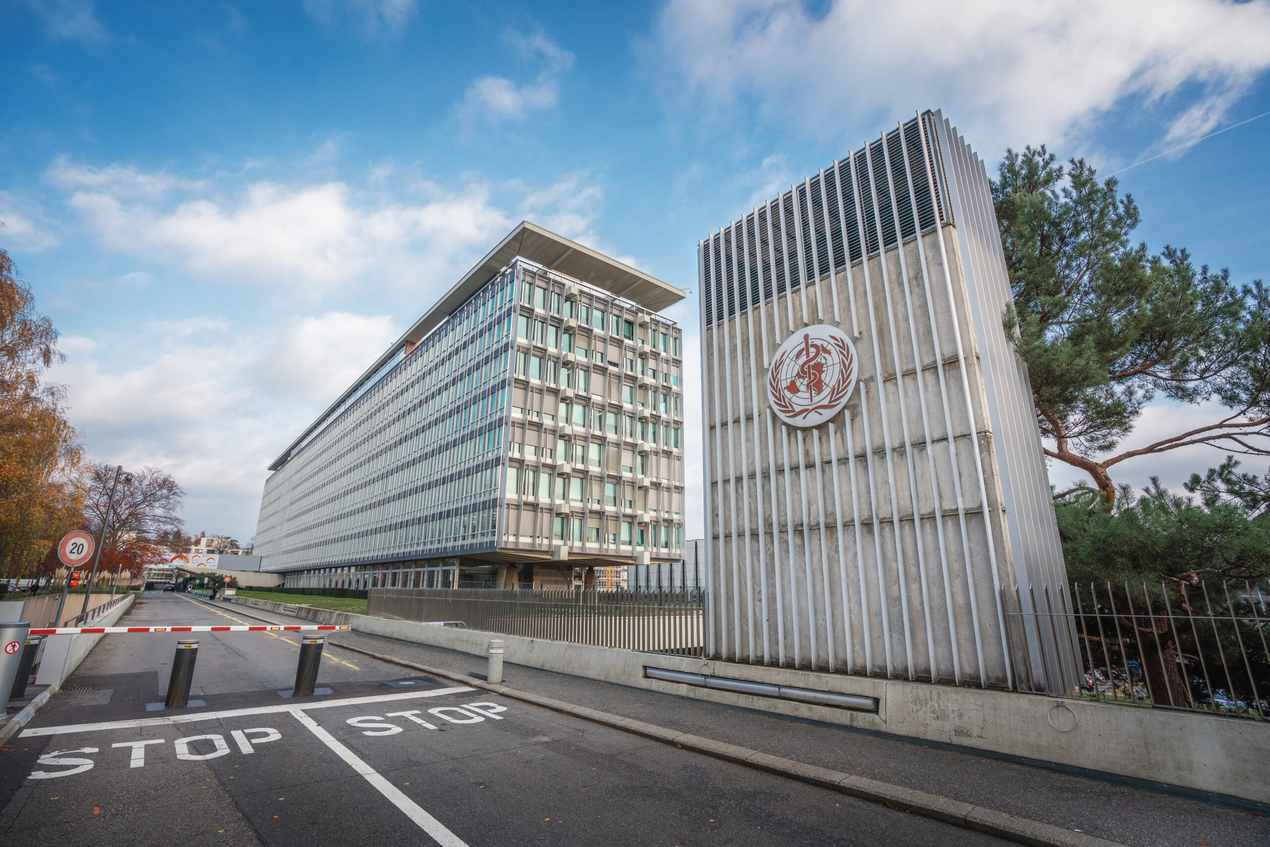 WHO Calls for Global Action on Health Challenges at UNGA79 Amid Rising Antimicrobial Resistance