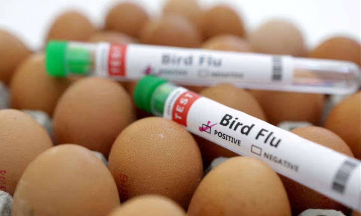 Federal Officials Plan to Double Emergency Bird Flu Vaccine Stockpile Amid Rising H5N1 Cases