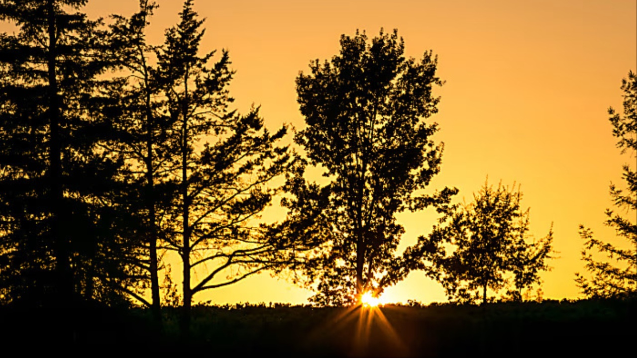 Daylight Saving’s End Brings Extra Hour but Signals Seasonal Depression Risk for Many