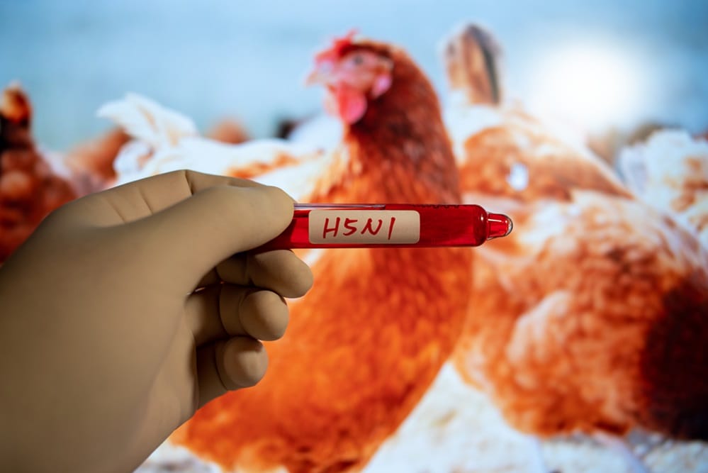 Rising Threats from H5N1 Avian Flu and Congo Illness Demand Urgent Global Preparedness